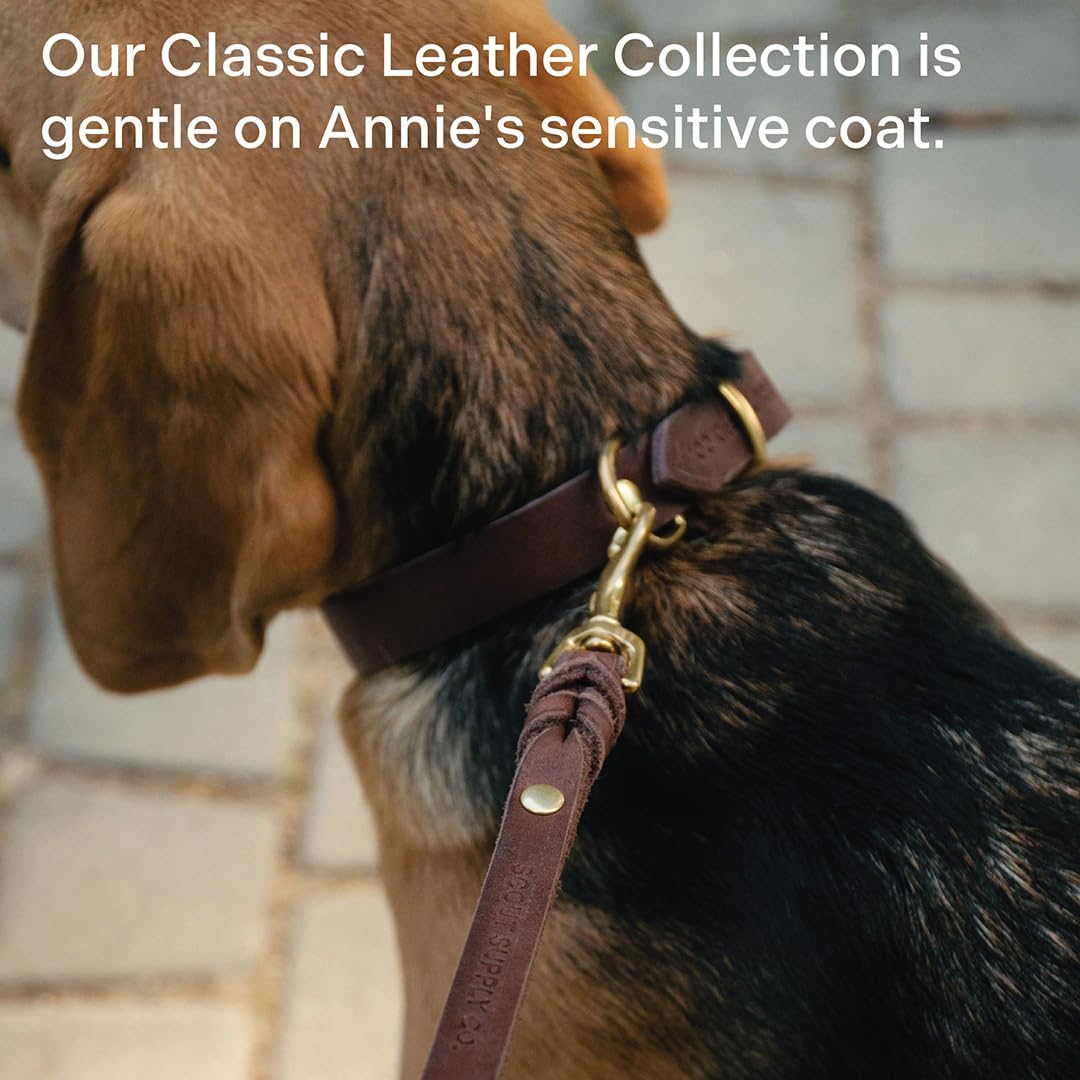 Scout Supply Classic Leather Dog Leash: The Leash That Earns Its Patina — Full-Grain Leather Dog Leash with Solid Brass Hardware