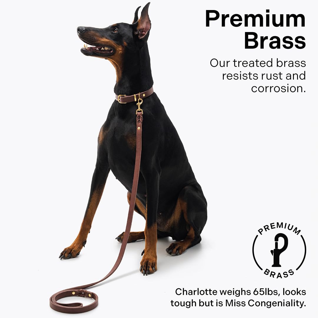 Scout Supply Classic Leather Dog Leash: The Leash That Earns Its Patina — Full-Grain Leather Dog Leash with Solid Brass Hardware