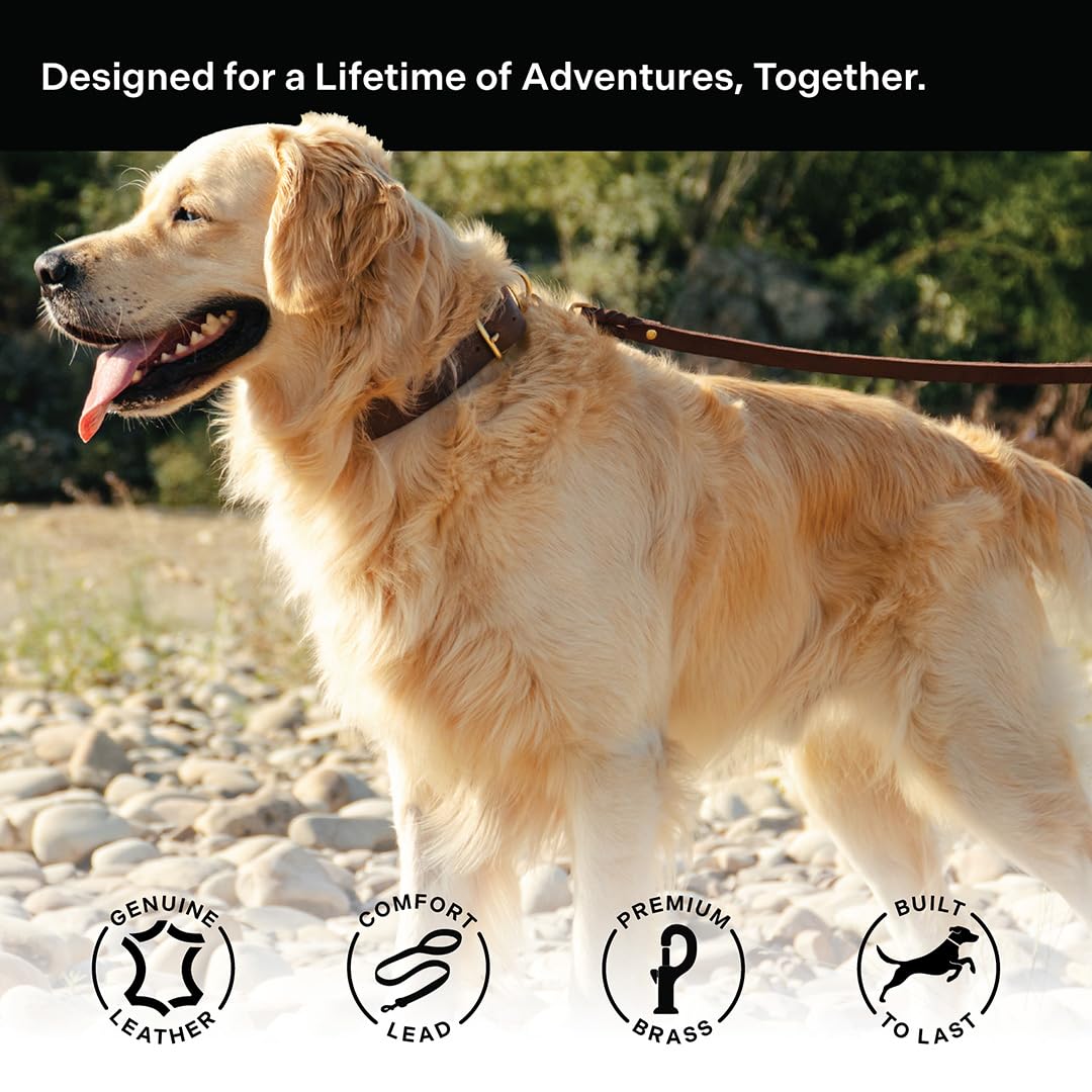 Scout Supply Classic Leather Dog Leash: The Leash That Earns Its Patina — Full-Grain Leather Dog Leash with Solid Brass Hardware