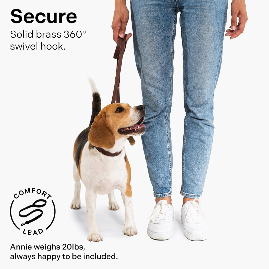 Scout Supply Classic Leather Dog Leash: The Leash That Earns Its Patina — Full-Grain Leather Dog Leash with Solid Brass Hardware