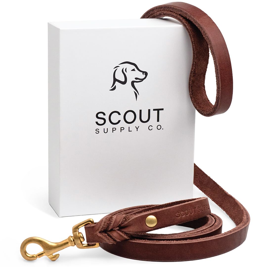 Scout Supply Classic Leather Dog Leash: The Leash That Earns Its Patina — Full-Grain Leather Dog Leash with Solid Brass Hardware