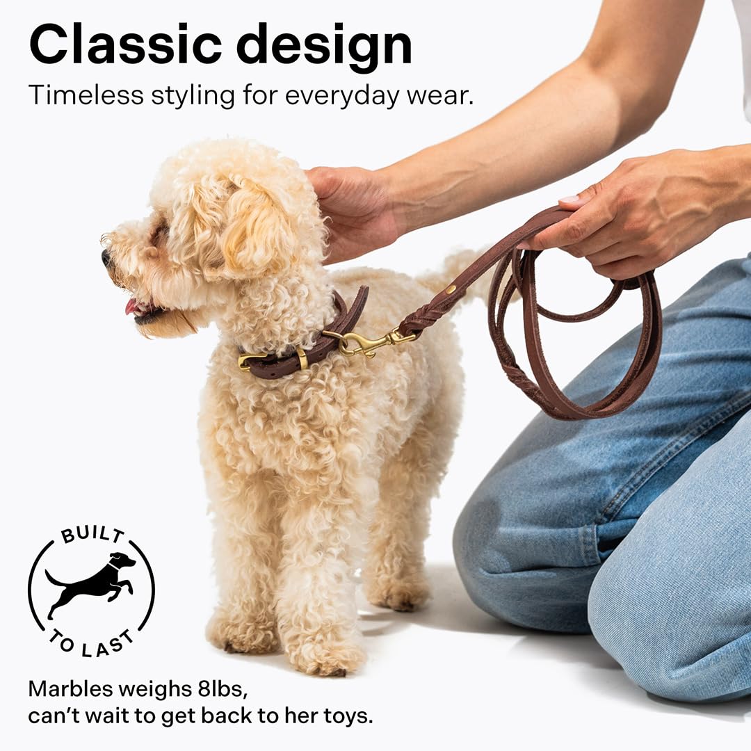Scout Supply Classic Leather Dog Leash: The Leash That Earns Its Patina — Full-Grain Leather Dog Leash with Solid Brass Hardware