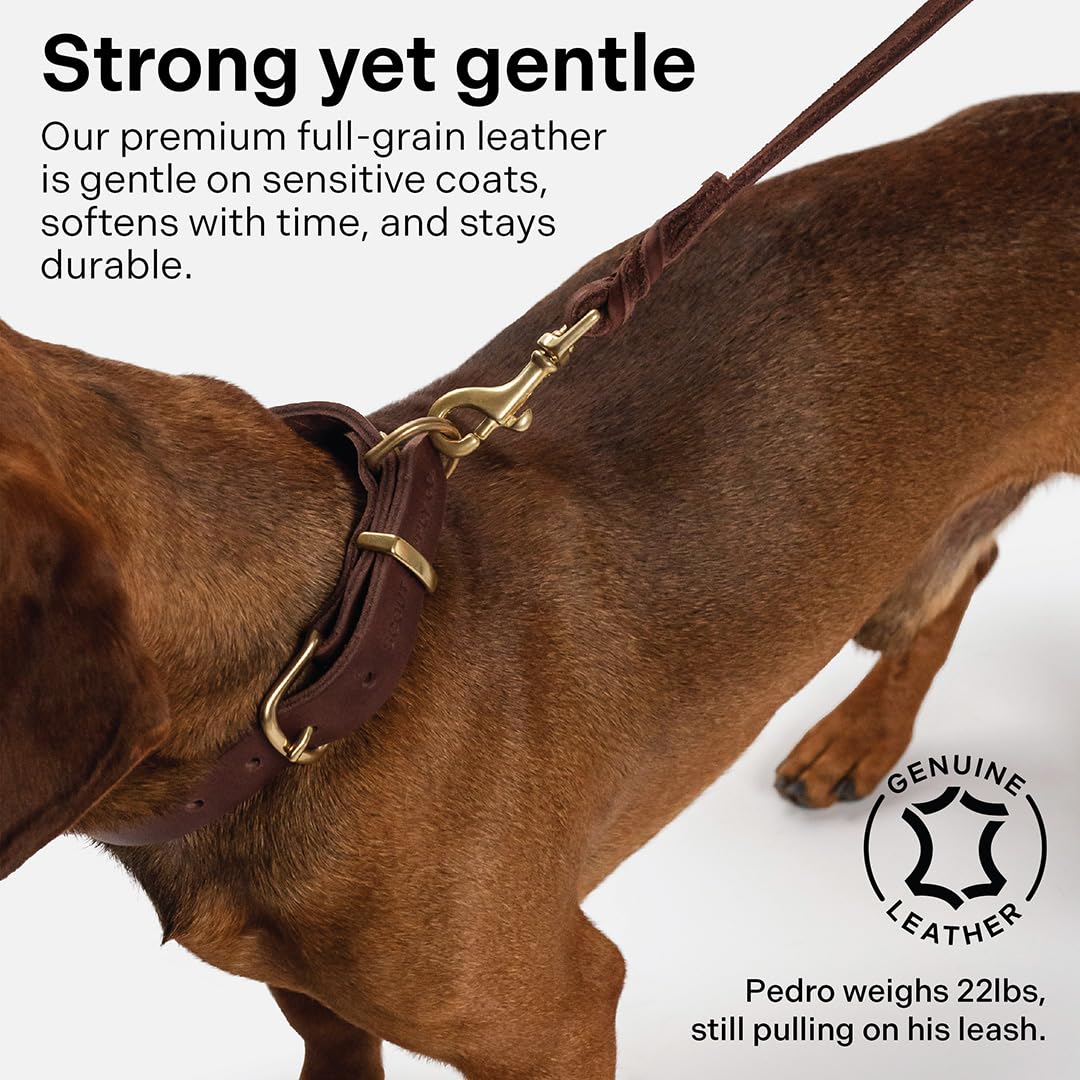 Scout Supply Classic Leather Dog Leash: The Leash That Earns Its Patina — Full-Grain Leather Dog Leash with Solid Brass Hardware
