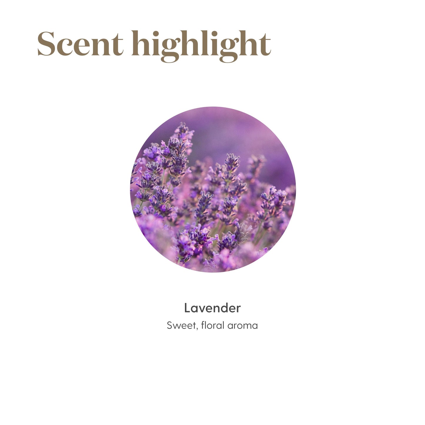Young Living Lavender Essential Oil: