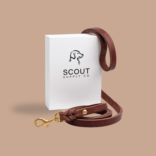 Scout Supply Classic Leather Dog Leash: The Leash That Earns Its Patina — Full-Grain Leather Dog Leash with Solid Brass Hardware